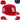 New Era MLB St. Louis Cardinals 2013