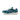 Saucony ProGrid Triumph 4 END. Nessie