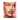 Fenty Trace'd Out Longwear Waterproof Pencil Lip Liner Extra Thigh