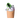 Owala Freesip-Sway 30oz "Peachy Keen"