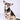 Glossier You Look Good Collar - view 2