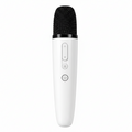 Dual Wireless Karaoke Microphones