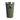 Stanley Everyday Tumbler (16OZ) Dried Pine