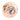 Coach Open Circle Stone Stud Earrings Rose Gold