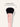 bronzing face brush