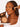buff & bronze face brush