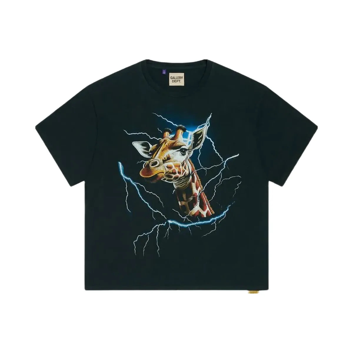 Gallery Department Gallery Dept Theme Park T-Shirt Vintage Black