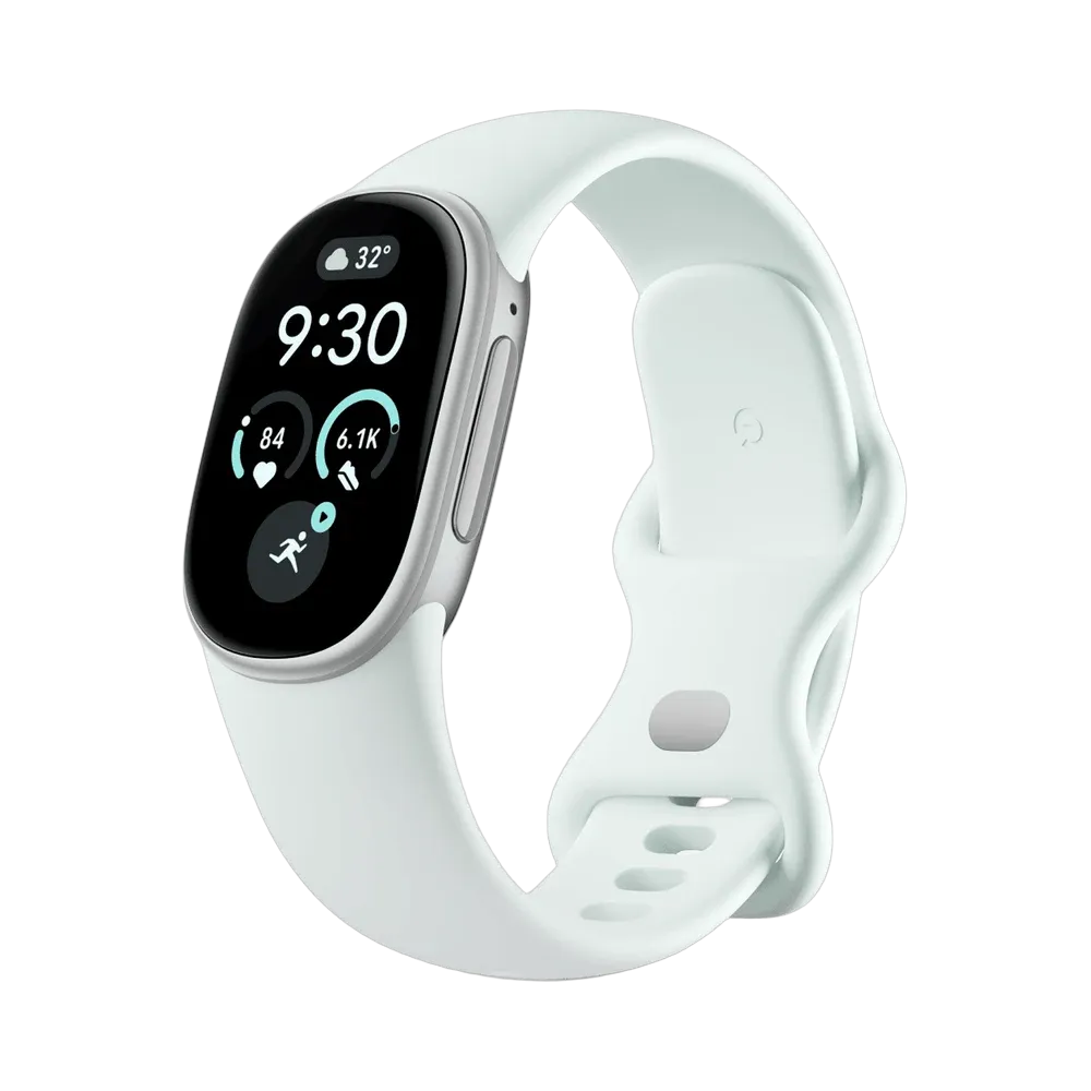 Google Fitbit Edge Classic Satin Silver Aluminium Case / Fog Active Band