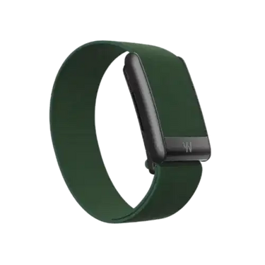Whoop 5.0 Coreknit Evergreen Band (Strap Only)