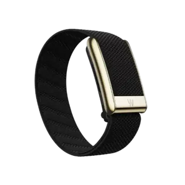 Whoop 5.0 / MG Life Superknit Luxe Obsidian with Gold Band (Strap Only)