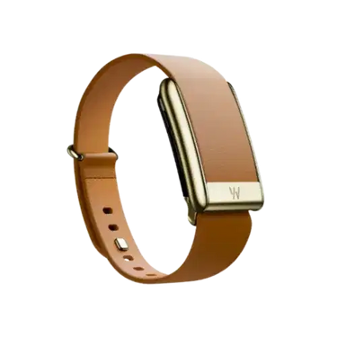 Whoop 5.0 Leatherluxe Tapered Camel with Gold Band (Strap Only)