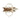 Karl Lagerfeld Rue St-Guillaume Medium Square Tote Bag Natural
