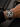 Seiko Mod Crystal Panda Daytona worn on the wrist
