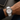 Seiko Mod White Speedmaster worn on the wrist