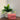 Dior Saddle Flap Cardholder Pink